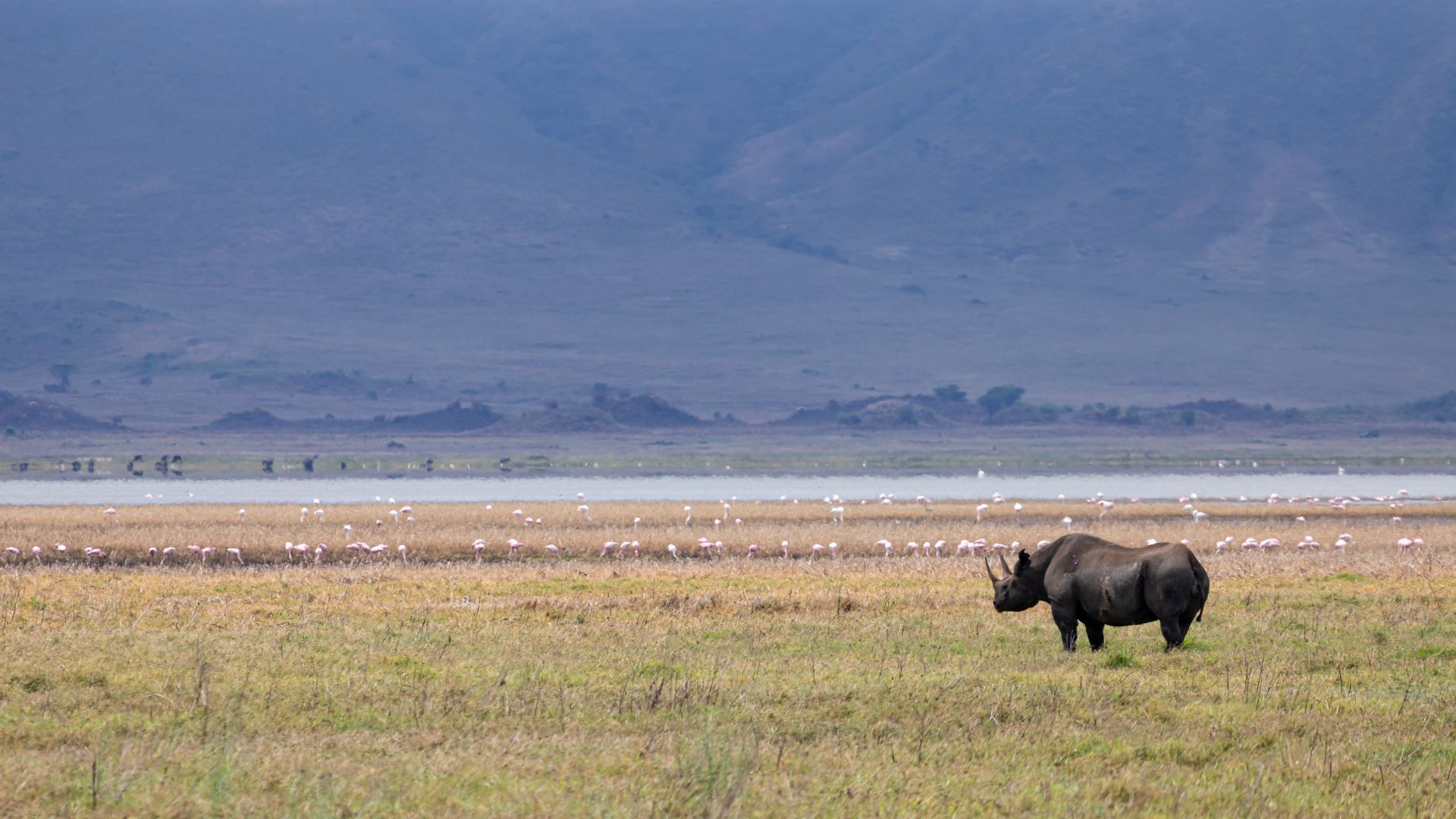Ngorongoro Crater — Tanzania